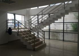Spaţiu comercial de închiriat, 500 mp, Pacurari